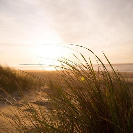 Grosse Nordseewelle Ohne Hund Norden Exterior foto